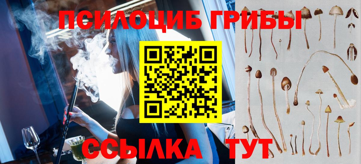 Псилоцибиновые грибы мухоморы Подольск