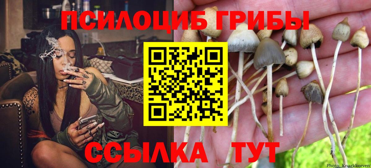 магазин продажи наркотиков  Вход с VPN  Подольск  Псилоцибиновые грибы мухоморы 